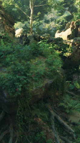 overgrown jungle ruins