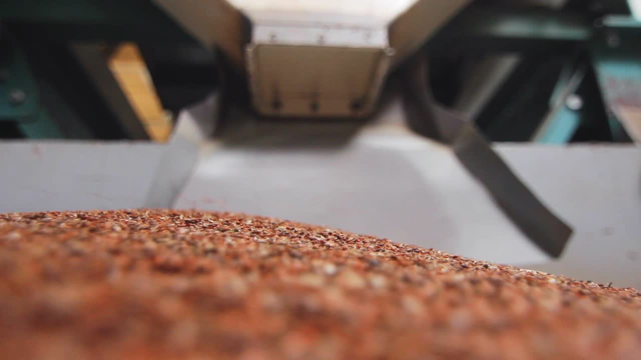 라인 공장 작업 과정. 제조 라인에 있는 라인 씨 ⁇