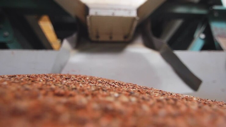 Processo di lavorazione della fabbrica di lino. Seme di lino sulla linea di produzione.