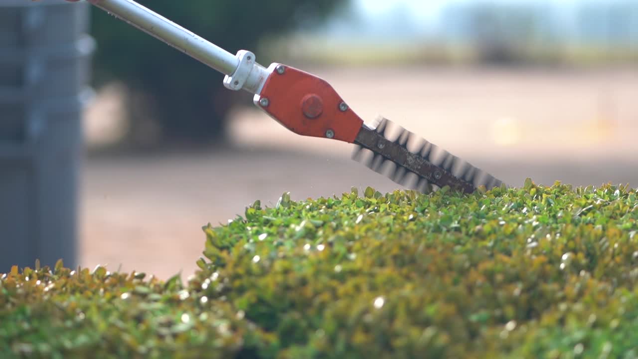 Worker Trimming Bush with Hedge Trimmer Equipment - Slow Motion