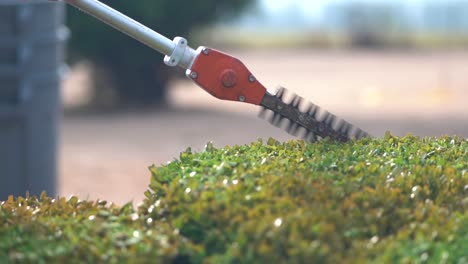 Worker-Trimming-Bush-with-Hedge-Trimmer-Equipment---Slow-Motion