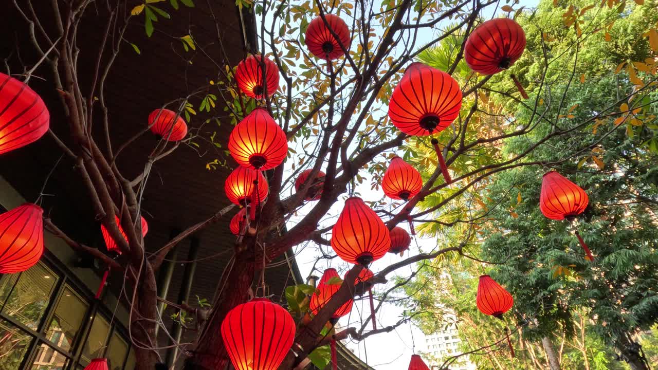 Đèn lồng đỏ treo giữa những hàng cây vào ban ngày