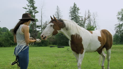 Una-Joven-Vaquera-Adulta-Se-Acerca-A-Un-Caballo-Pinto-Tranquilo-En-Un-Campo,-Alimenta-Y-Acaricia-Al-Caballo