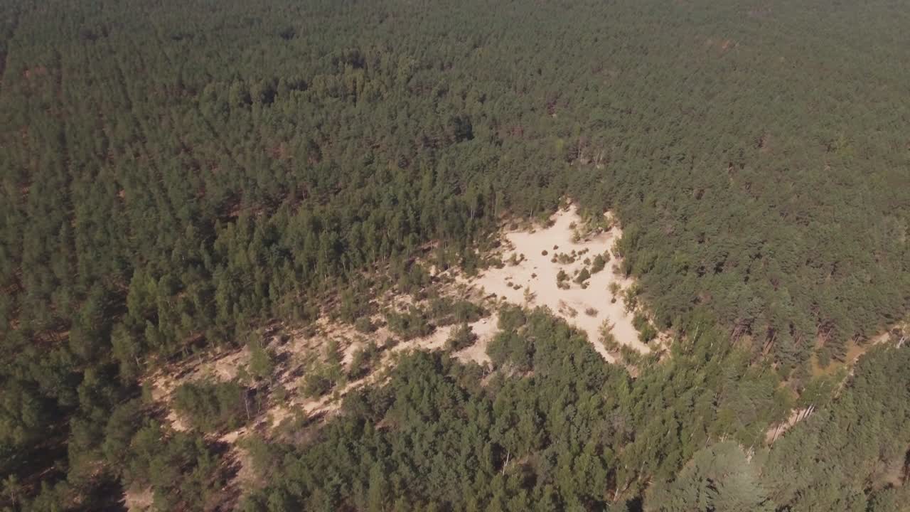 Sand Dune in the Middle of the Forest. Aerial Dolly-In Tilt-Down