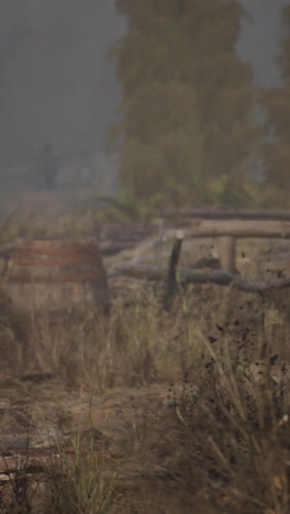 foggy ruins in the countryside