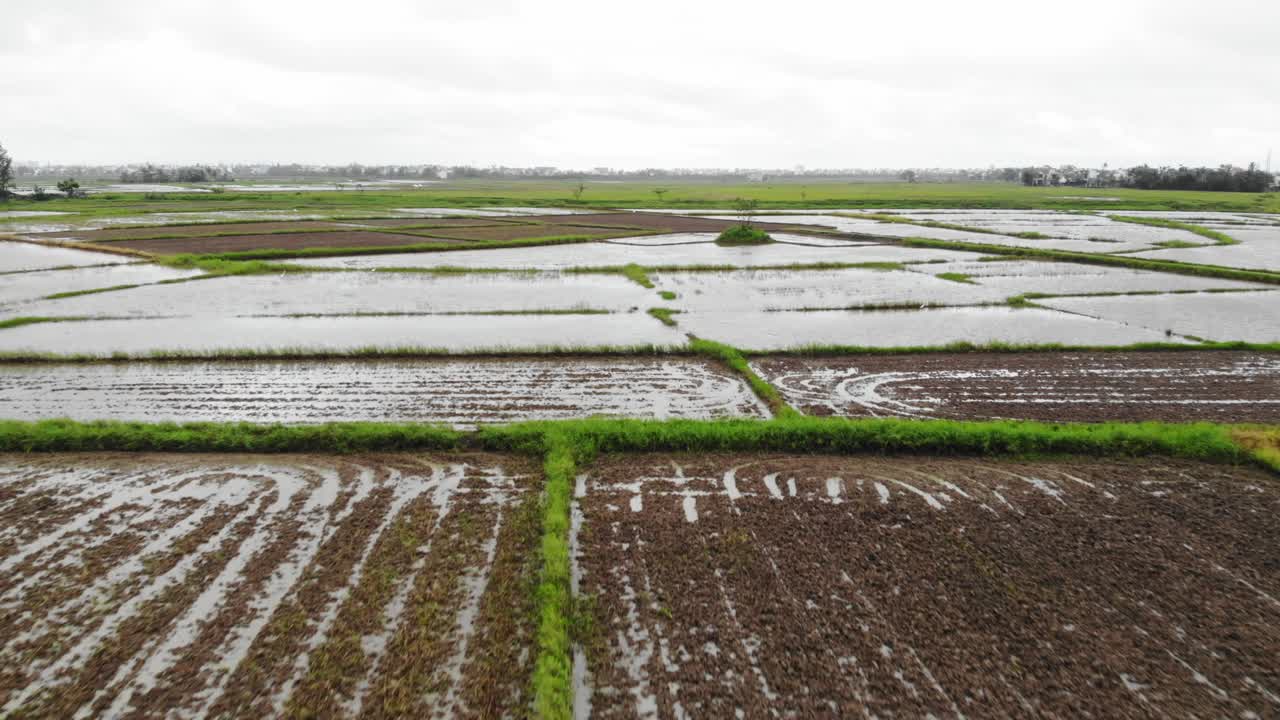 베트남 광남 호이안 의 거대한  ⁇   ⁇  위 를 날아다니며