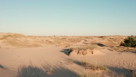 aerial view of a desert, sand dunes. texture of the surface of desert nature