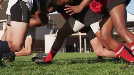 jugadores de rugby que juegan en el campo