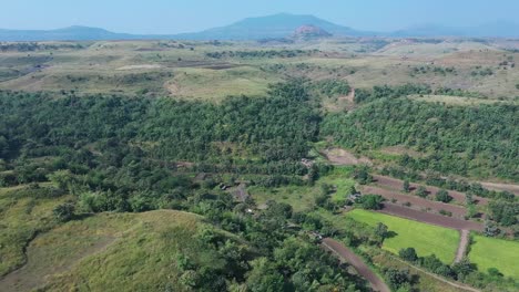 aerial: sustainable forest plantation in a valley with artificial lakes to water the plants in india