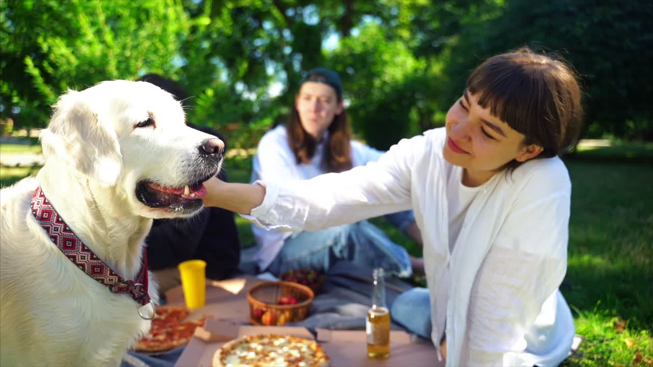 친구 들 이 개 와 함께 공원 에서 피크닉 을 즐기고 있다