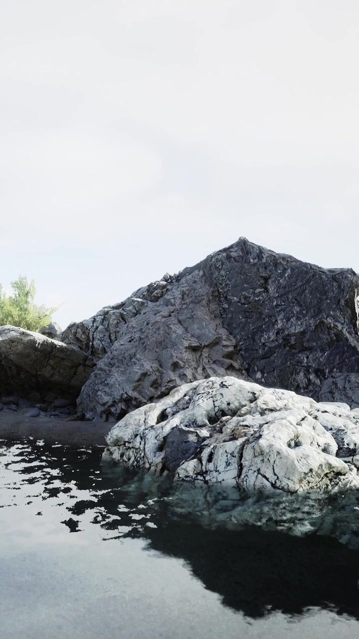 Rocce vicino all'acqua immobile con piante in un ambiente naturale in una giornata limpida