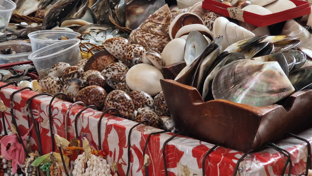 Papeete Market, Tahiti Island, French Polynesia. Seashells in Souvenir Shop, Close Up