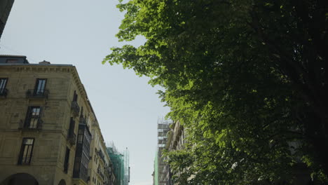 city buildings and green tree leaves with sunshine, dolly forward shot