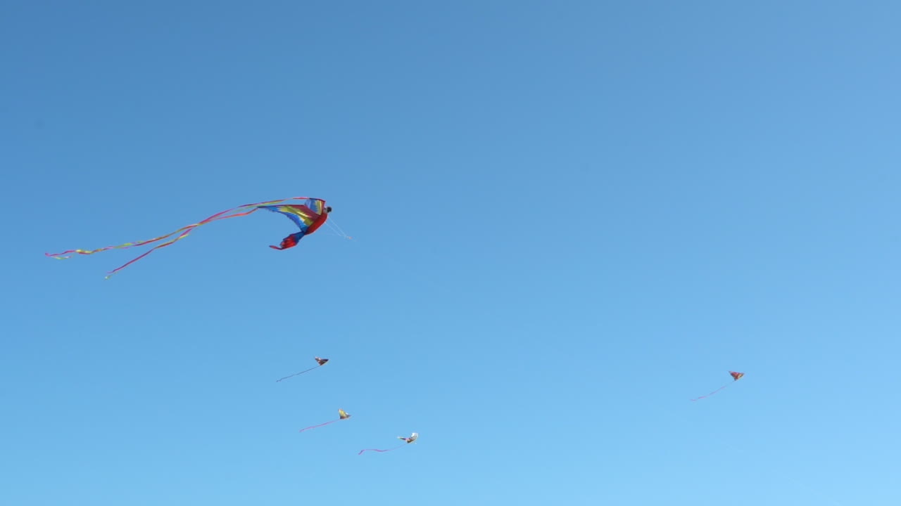 múltiples cometas volando en el cielo, una que parece un loro