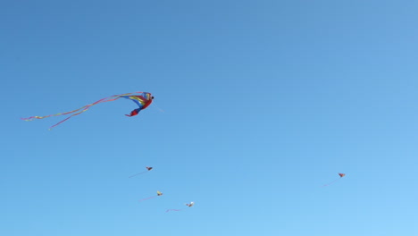 Multiple-kites-flying-in-the-sky,-one-looking-like-a-parrot