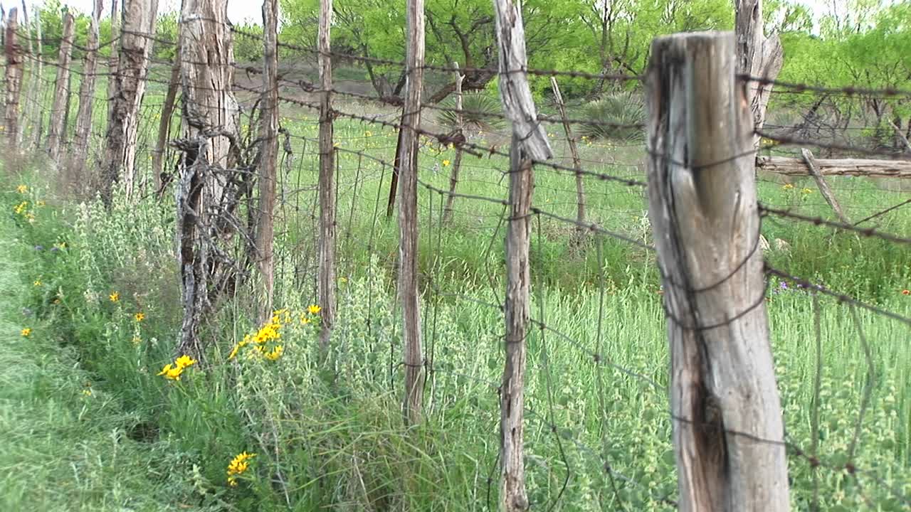 средний снимок забора из колючей проволоки, стоящего на ранчо в техасе