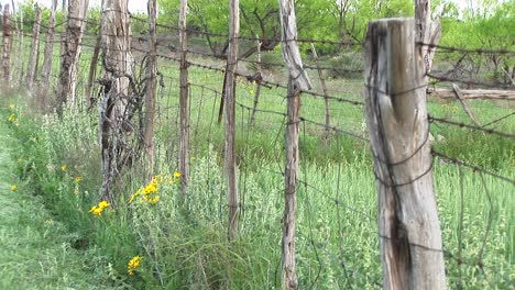 tiro medio de una valla de alambre de púas de pie en un rancho de texas