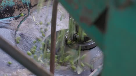 las aceitunas recién cosechadas que han sido filtradas y lavadas se envían a una trituradora durante la temporada de cosecha en una instalación de producción de aceite de oliva virgen extra en abruzzo, italia