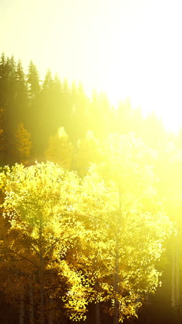 bright sunset in the mountains