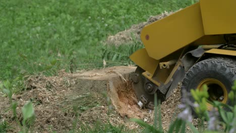 slow motion stump grinder chewing up a stump