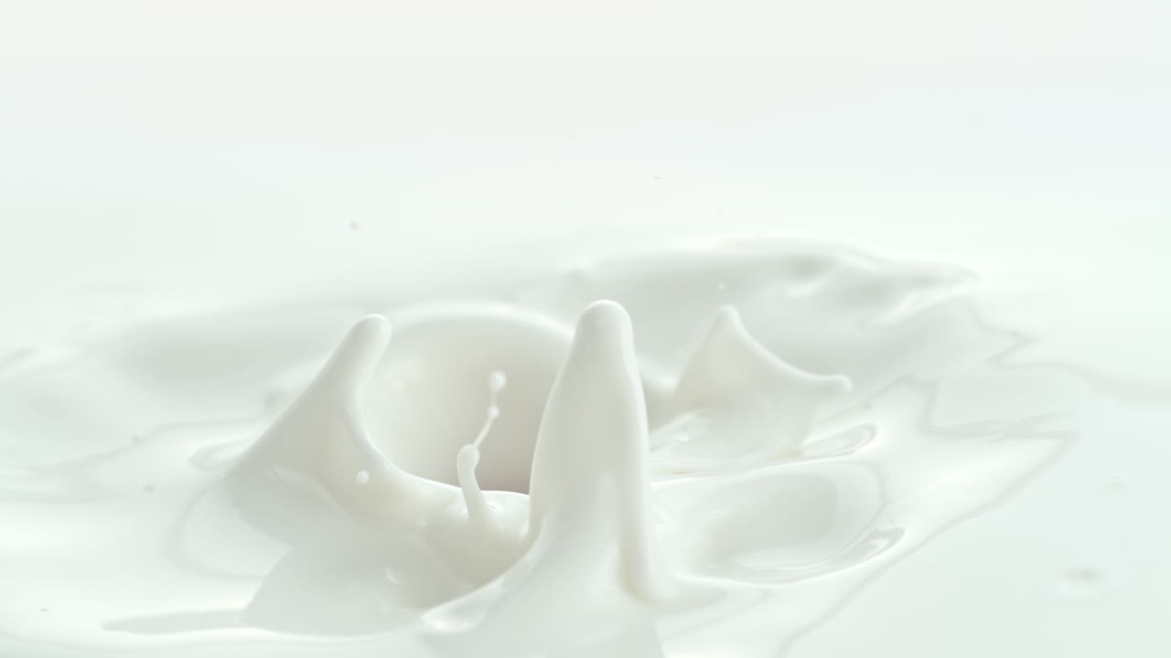 크림 같은 우유에 떨어지는 라즈베리가 거시적이고 느린 동작으로 스플래시를 만니다.