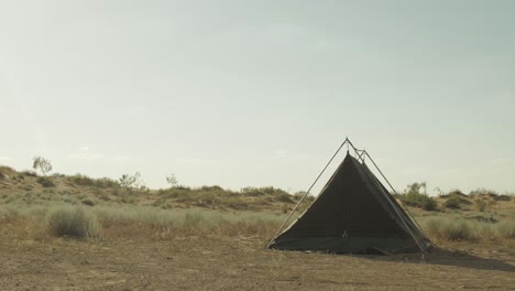 Carpa-verde-en-el-desierto