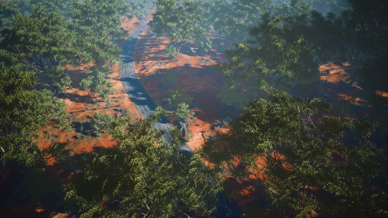 drone disparó vista aérea o carretera en viejos bosques