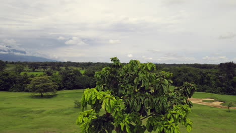 Colombia-Eastern-Plains---Llanos-Orientales-46