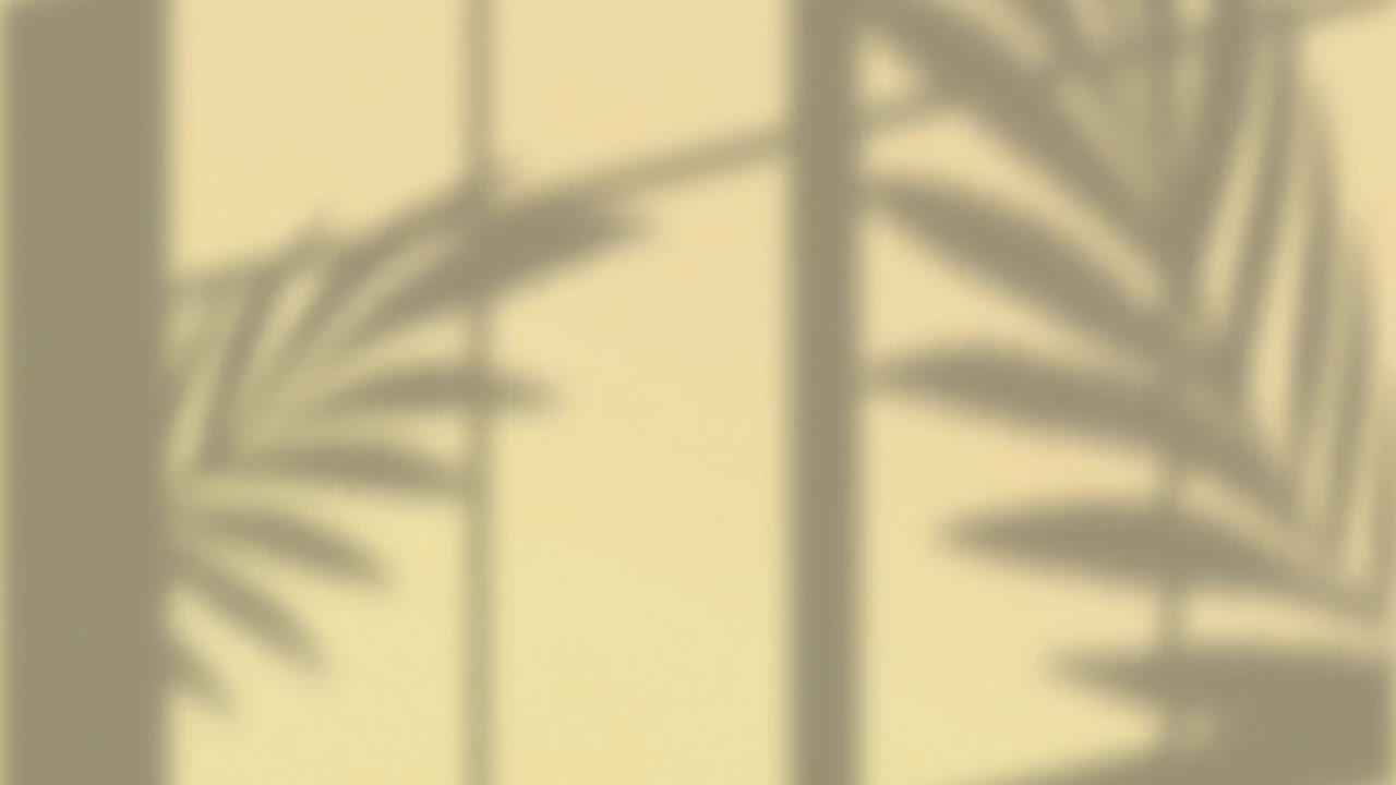 animación del marco de la ventana y las sombras de las hojas de las plantas que se mueven sobre el fondo de la pared de crema
