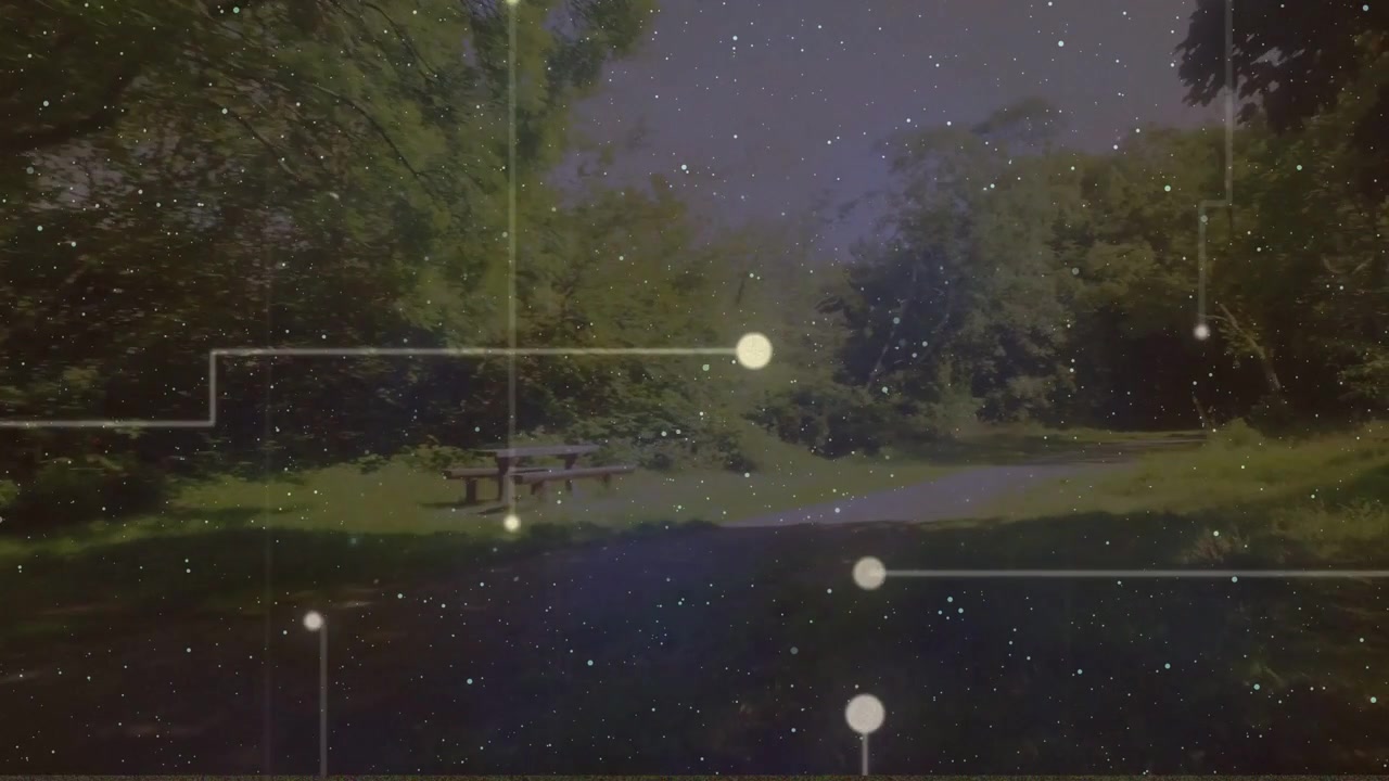 Sovrapposizione in avvio, nodi in movimento mentre la visuale scorre lungo un sentiero oltre una panchina da picnic, conducendo all'ombra.