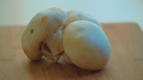 raw champignon mushrooms on spinning plate close up