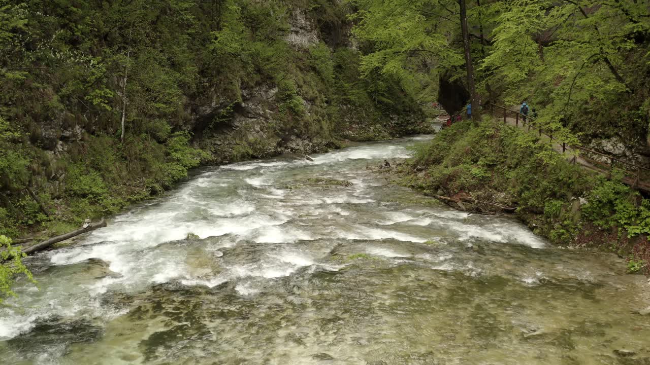 River flowing through a lush forest canyon