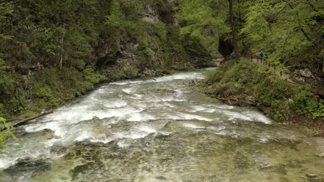 river flowing through a lush forest canyon