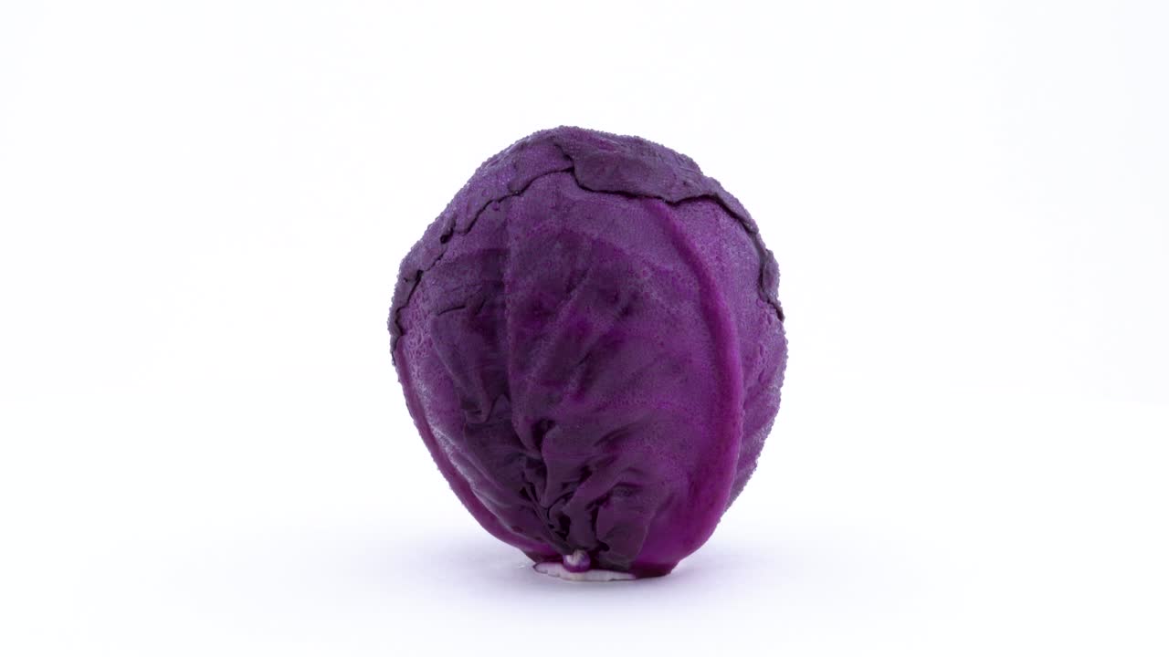 una mini repollo púrpura entera con gotas de agua está girando en la mesa giratoria aislada en el fondo blanco. primer plano. macro.