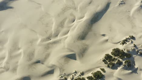 drone aerial looking down on large expansive sandy dunes in sunlight