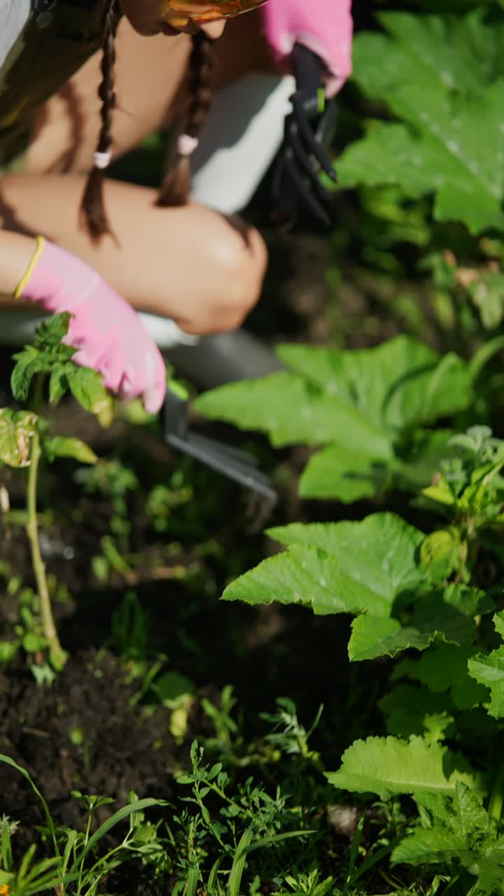 mujer jardinería en un jardín de verduras