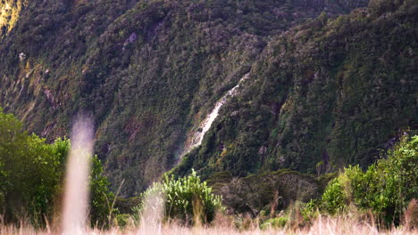 Wild-meadows-and-Lady-Bowen-falls-in-Milford-Sound,-New-Zealand