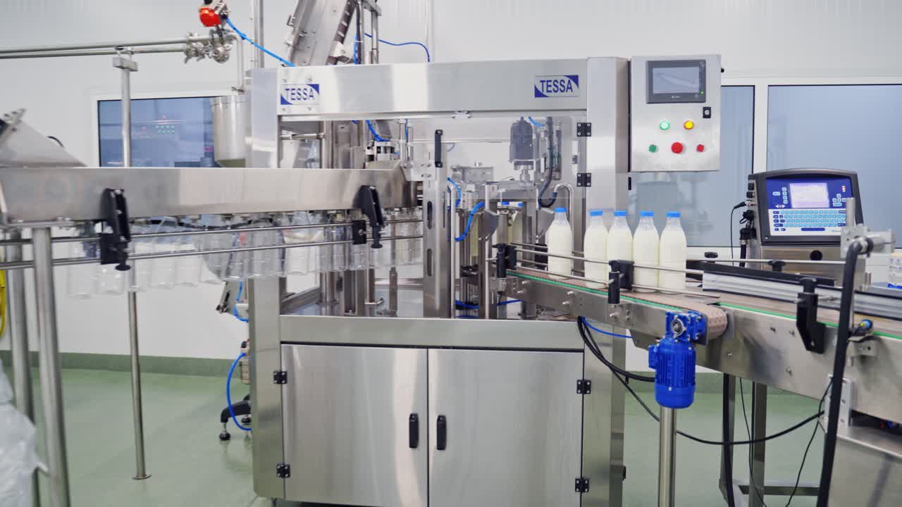 Modernized milk plant indoors. Worker is putting empty plastic bottles on a conveyor belt. Robotic machine for pouring milk in a dairy company.