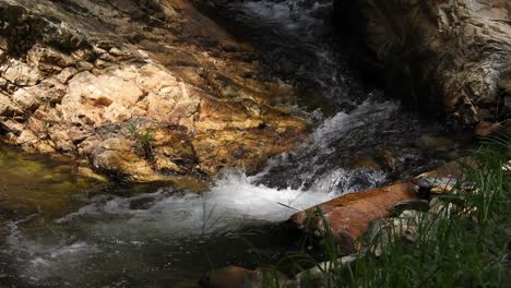 Crystal-clear-fresh-mountain-waterfall-crocodile-river-water-sparkling-and-flowing-over-rocks-and-pebbles-in-the-background-at-the-walter-sisulu-national-botanical-gardens-in-roodepoort,-South-Africa