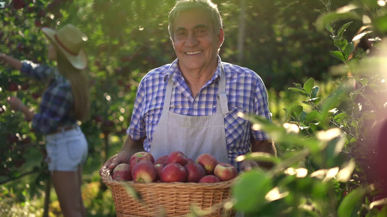 Smiling Farmer Holding a Basket of Fresh Apples in a Sunny Orchard