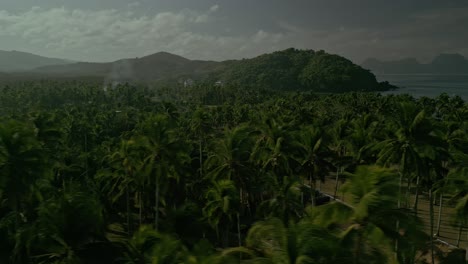 Palm-trees-and-houses-in-green,-hilly-coastal-Philippines,-aerial-pan