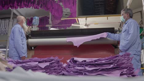 two factory workers processing tanned animal hides in a leather factory.