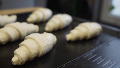 frozen croissants on a plate ready to stick in to the oven