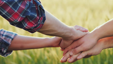 un equipo de agricultores confiados levanta la mano sobre el fondo de un campo de trigo