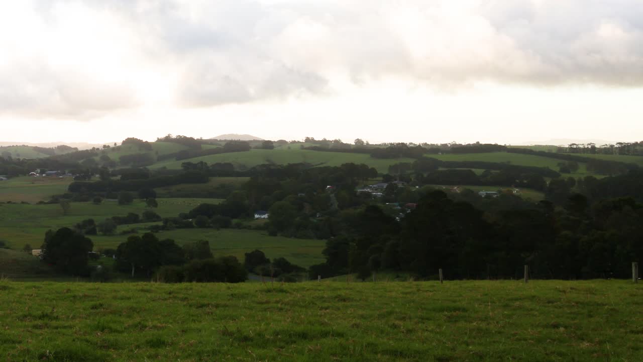 변화 하는 하늘 을 가진  에 있는 소 들