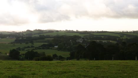 cows in a field with changing sky