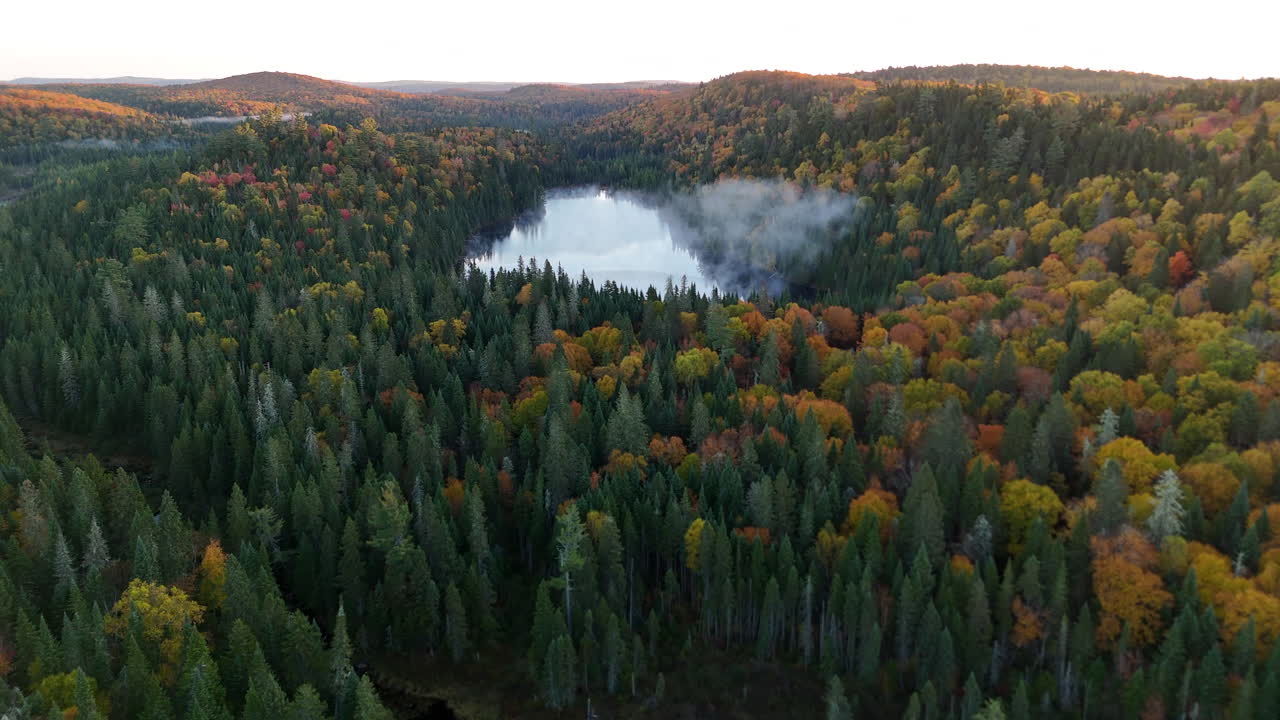 Aerial view of a vibrant autumn forest with lake, river, and mountains at sunrise in Mauricie, Quebec, Canada. Warm light highlights the colorful fall landscape
