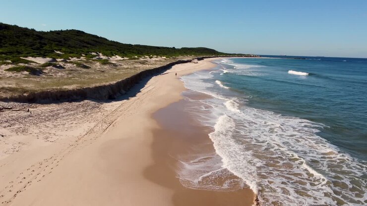 Drone aerial pan shot of scenic landscape location person on sandy beach walking The Entrance Soldiers Beach Central Coast NSW bushland sand dunes Australia 4K