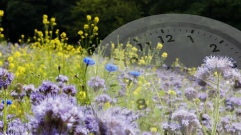 white clock and flowers