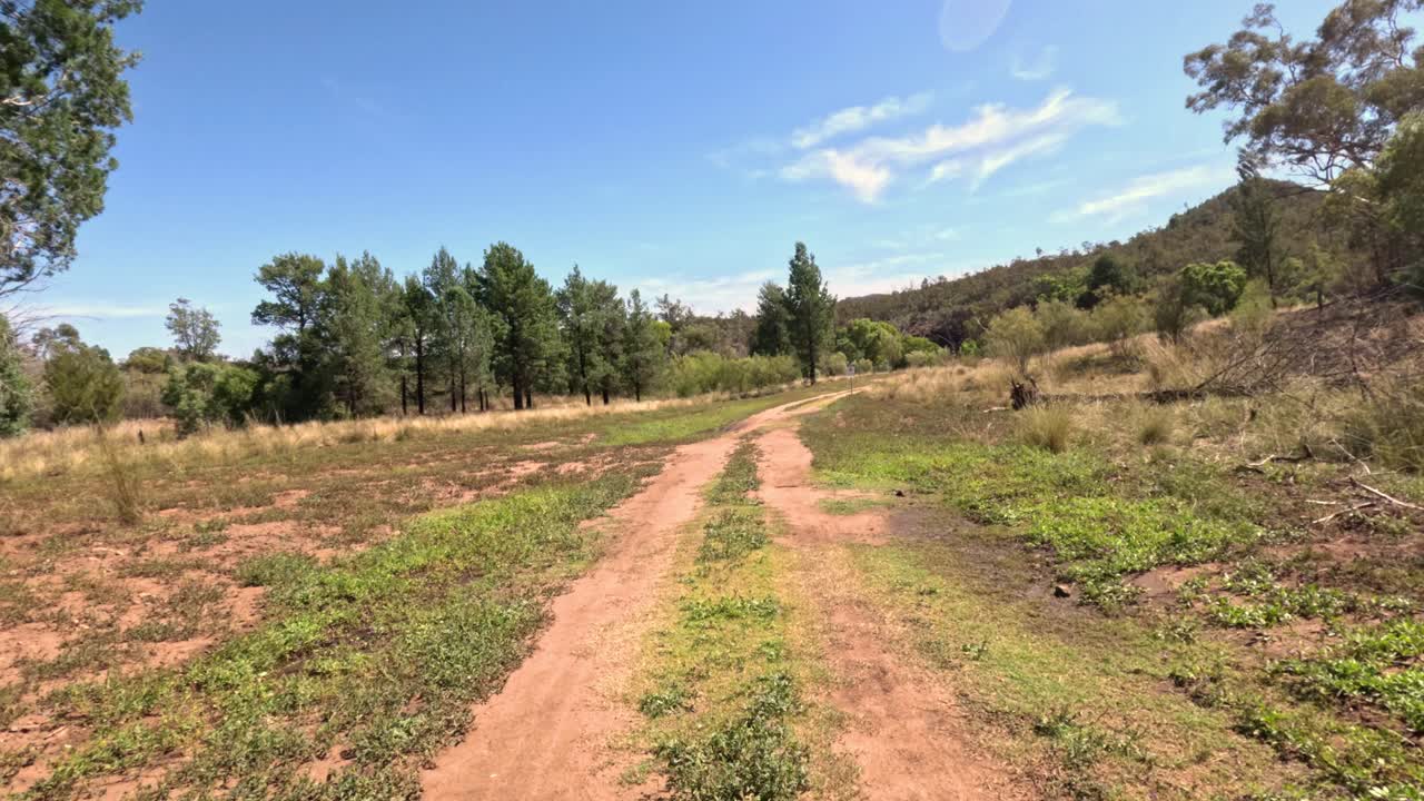 camino de tierra a través de la exuberante campiña australiana